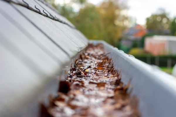 Gutter Installation Services